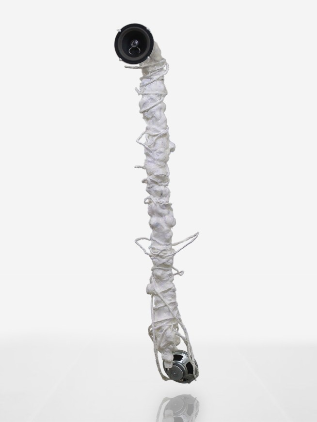 N2607141136191pbq5arui8.png